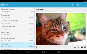 wordpress-app-screen