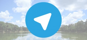 Telegram header