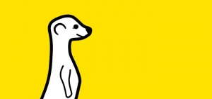 meerkat-header