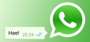 WhatsApp vinkjes