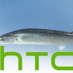 HTC halfbeak header