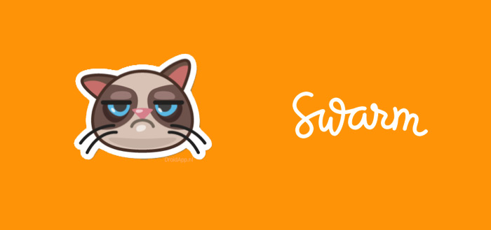 Locatie-app Swarm helpt zwerfkatten met ‘Grumpy Cat’ sticker