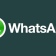 WhatsApp header