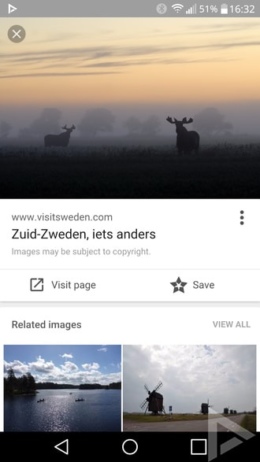 Google Afbeeldingen Save