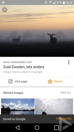 Google Afbeeldingen Save