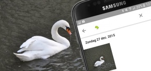 Google Foto's emoji