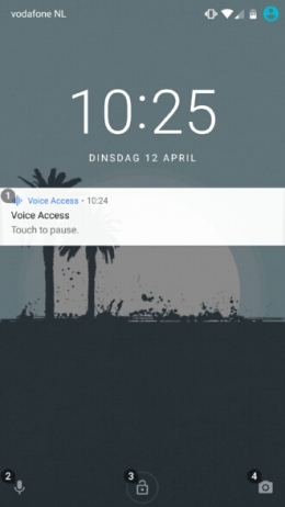 Google Voice Access