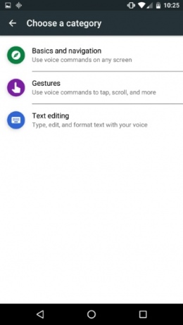 Google Voice Access