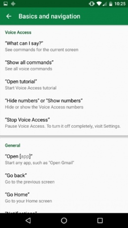 Google Voice Access