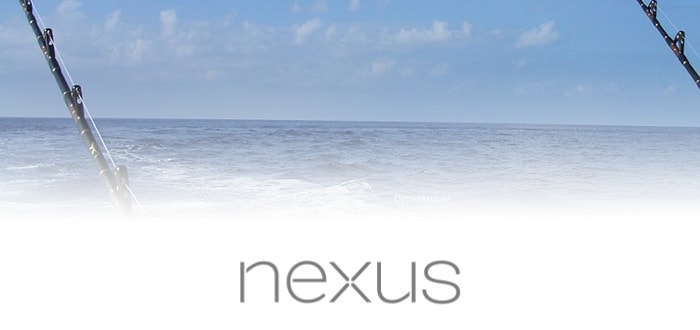 Nexus