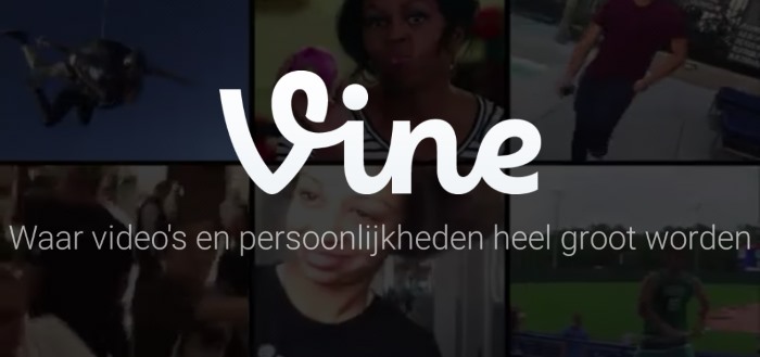 Vine