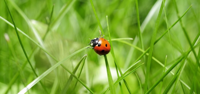 Nationale Natuur Quiz 2016