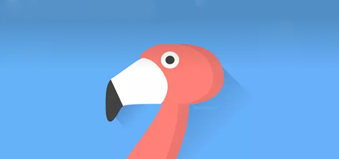 Flamingo