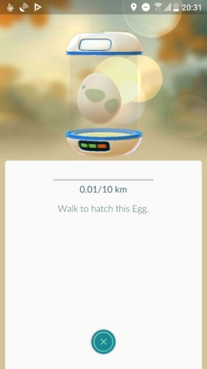 Pokémon GO egg