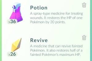 Pokémon GO Revive en Potion