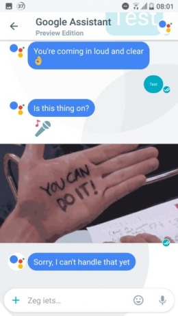 Google Allo Gif