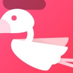 Flamingo 1.8.0: grote update brengt veel nieuwe functies naar strakke Twitter-app