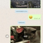 WhatsApp GIF