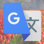 Nieuwe Material You-widget van Google Translate: dit is ‘m