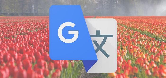Google Translate voegt (eindelijk) historie toe van zoekgeschiedenis