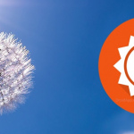 AccuWeather app geeft je vanaf nu de voorspelling voor pollen en allergieën