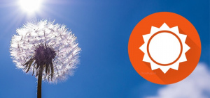 Accuweather pollen