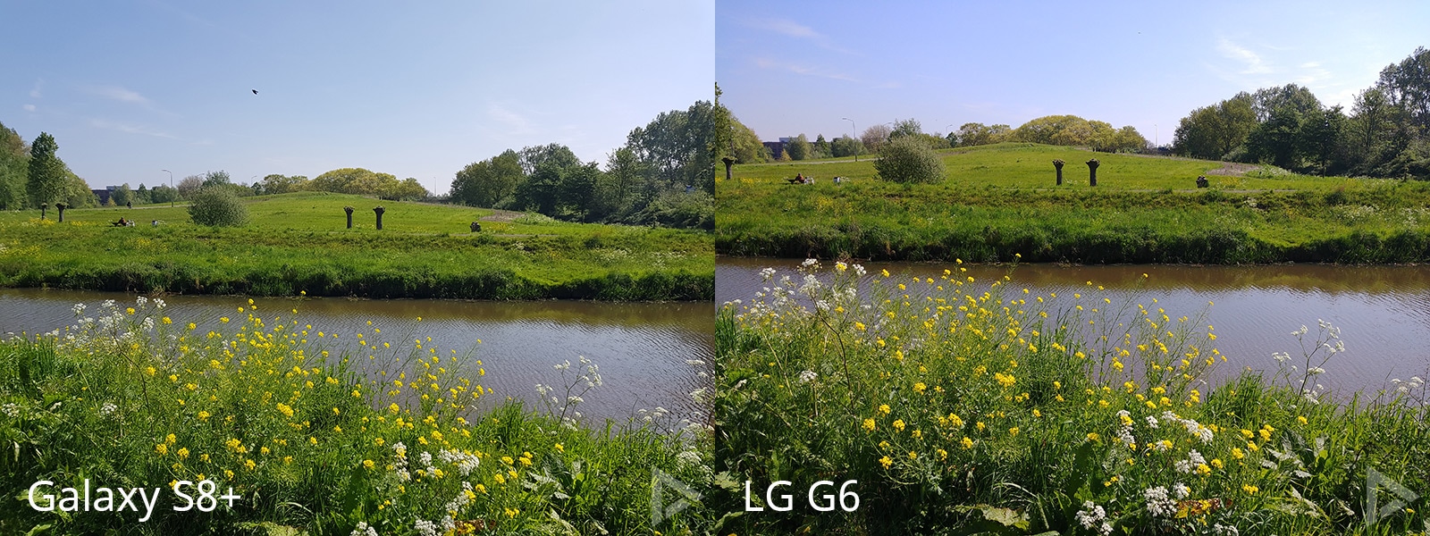 camera LG G6 vs Galaxy S8