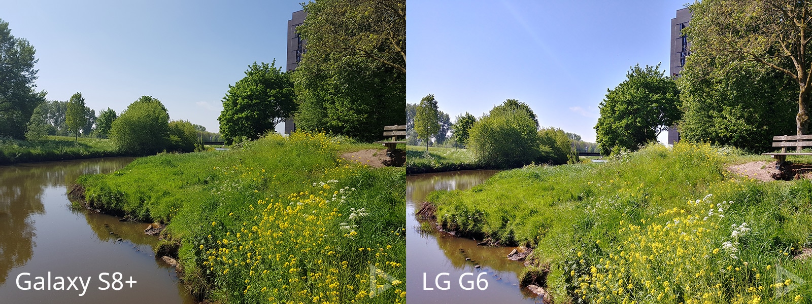 camera Galaxy S8 vs LG G6