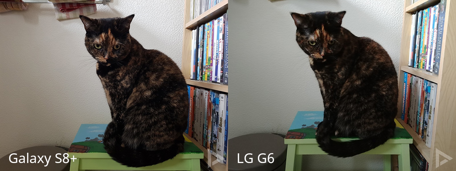 camera Galaxy S8 vs LG G6