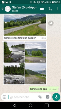 WhatsApp 2.17.287 albums