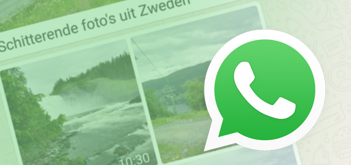 WhatsApp fotoalbum