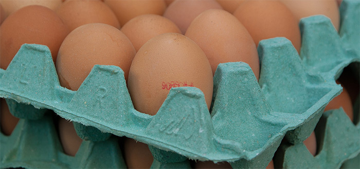 Welke eieren zijn besmet? Controleer het met de Ei Veilig-app