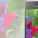 Sony Xperia XZ1