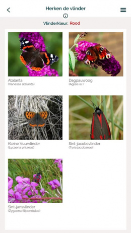 Vlindermee app