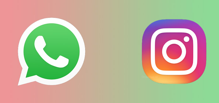 Instagram WhatsApp header