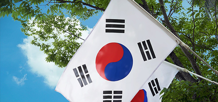 Zuid Korea vlag