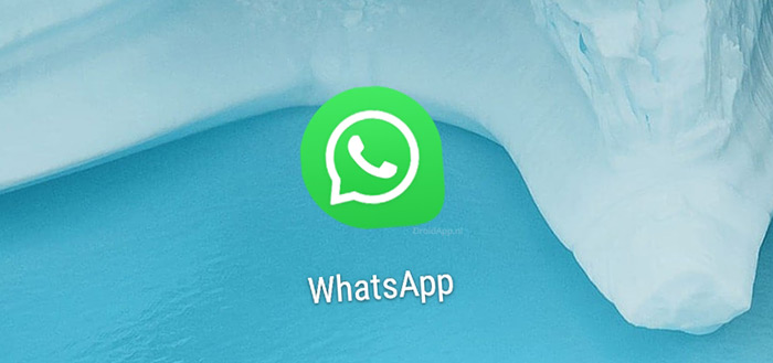 WhatsApp icon