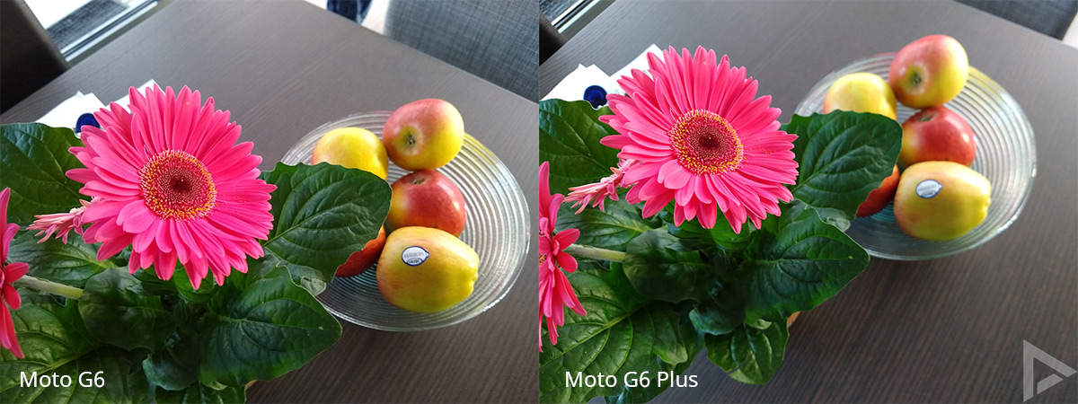 Moto G6 - Moto G6 Plus cameravergelijking 2