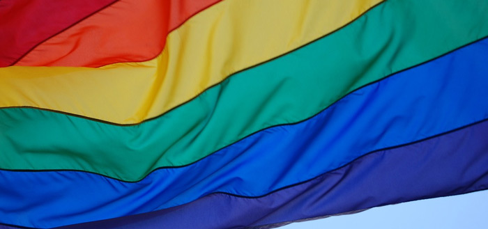 regenboog vlag header