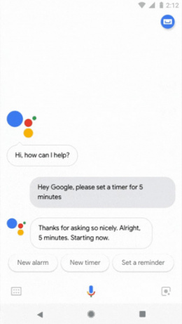 Google Assistent beleefd