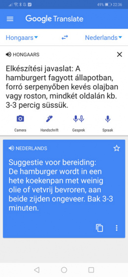 google translate hungarian