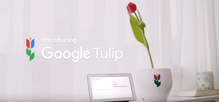 Google Tulip gepresenteerd: praten met je tulpen
