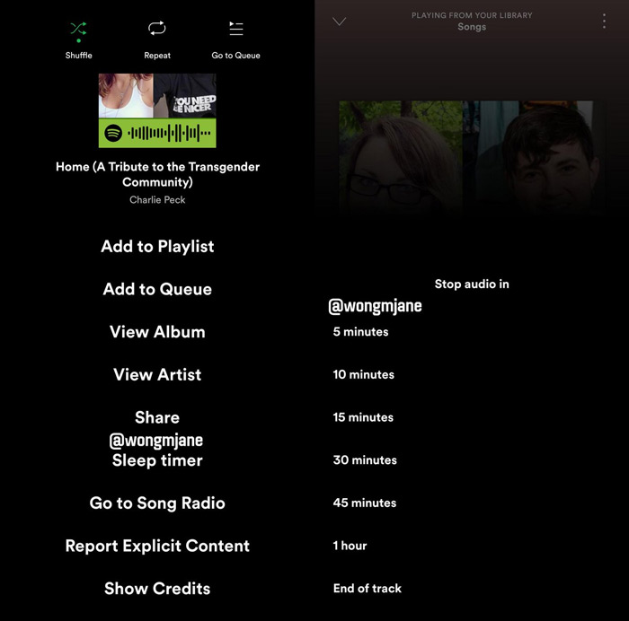 Spotify Sleep Timer