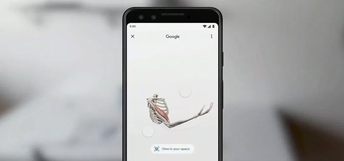 Google search AR header