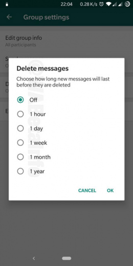 WhatsApp automatisch berichten verwijderen