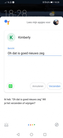 Google Assistent WhatsApp oplezen