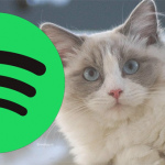 Spotify jaaroverzicht 2021: dit was de populairste muziek wereldwijd, en in Nederland