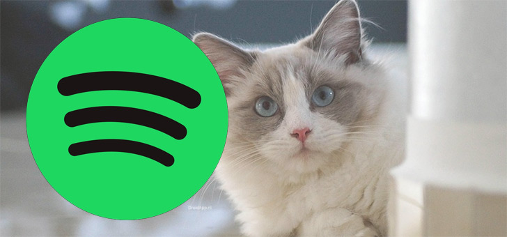 Spotify komt met speciale afspeellijsten voor je huisdier: zo werkt het