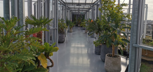 planten header