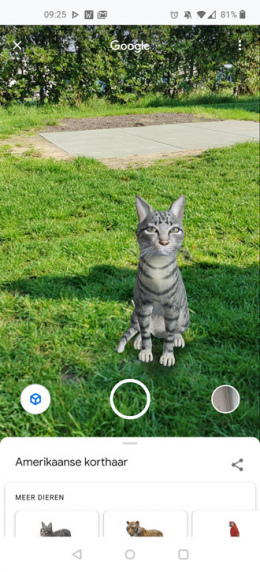 Google AR huisdieren